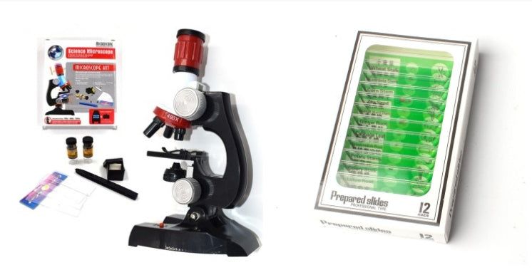 Child Biological Science And Education Microscope