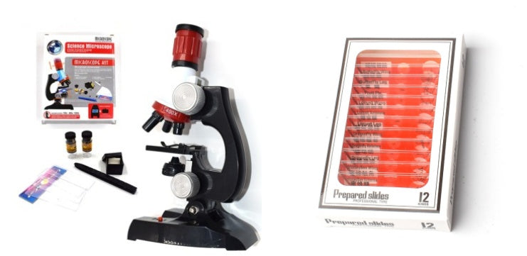 Child Biological Science And Education Microscope