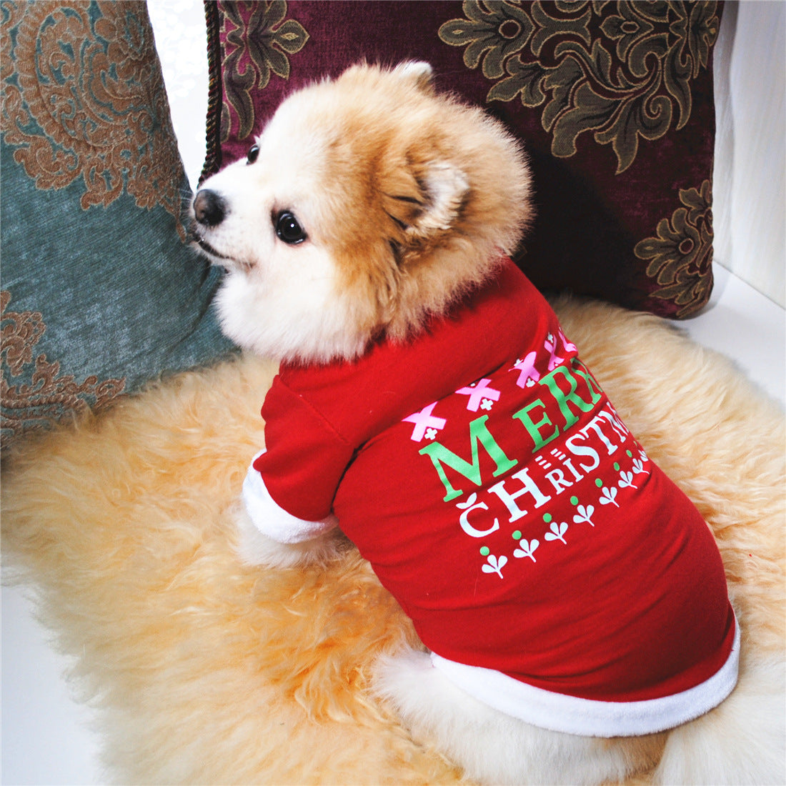 Christmas new dog clothes